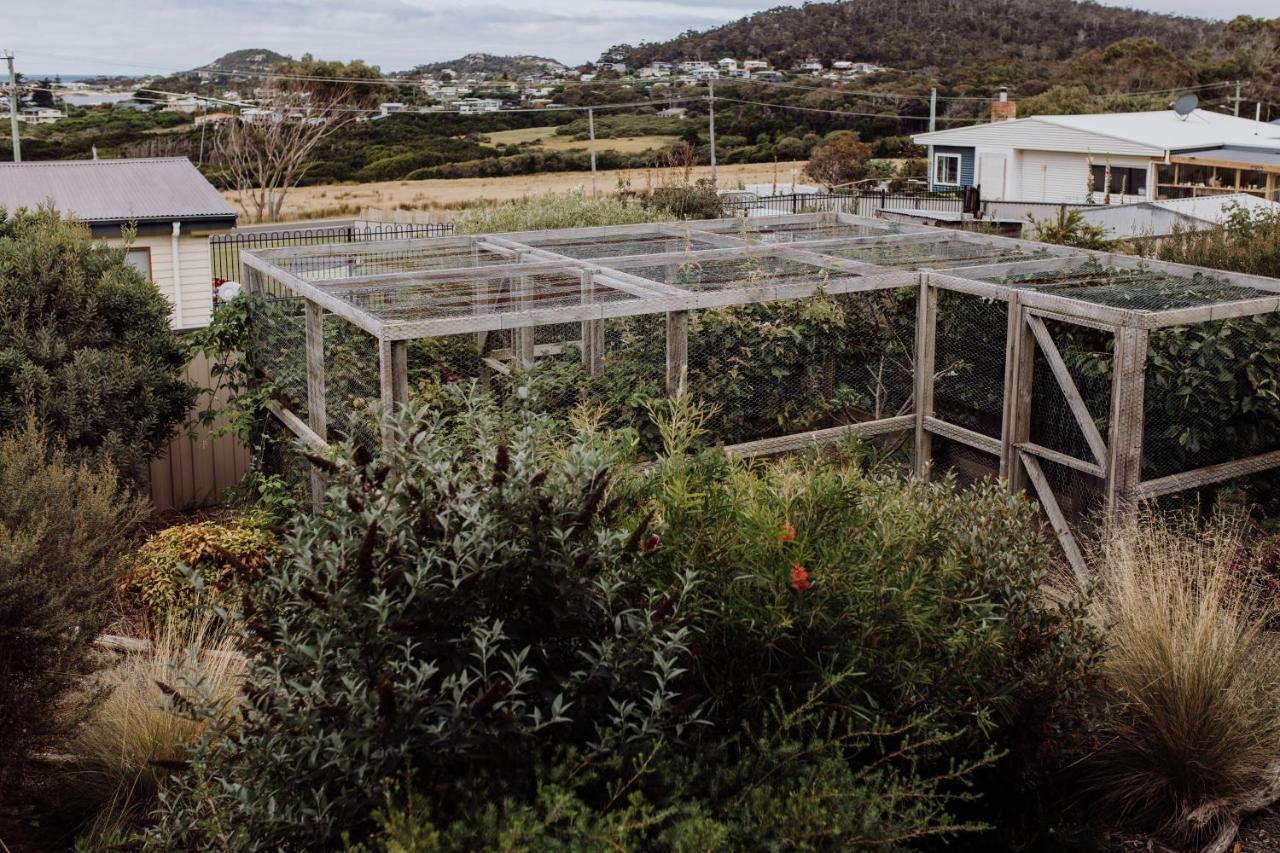Bicheno Gardens别墅 外观 照片